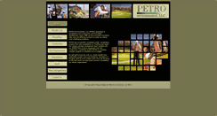 Desktop Screenshot of petroenviro.com